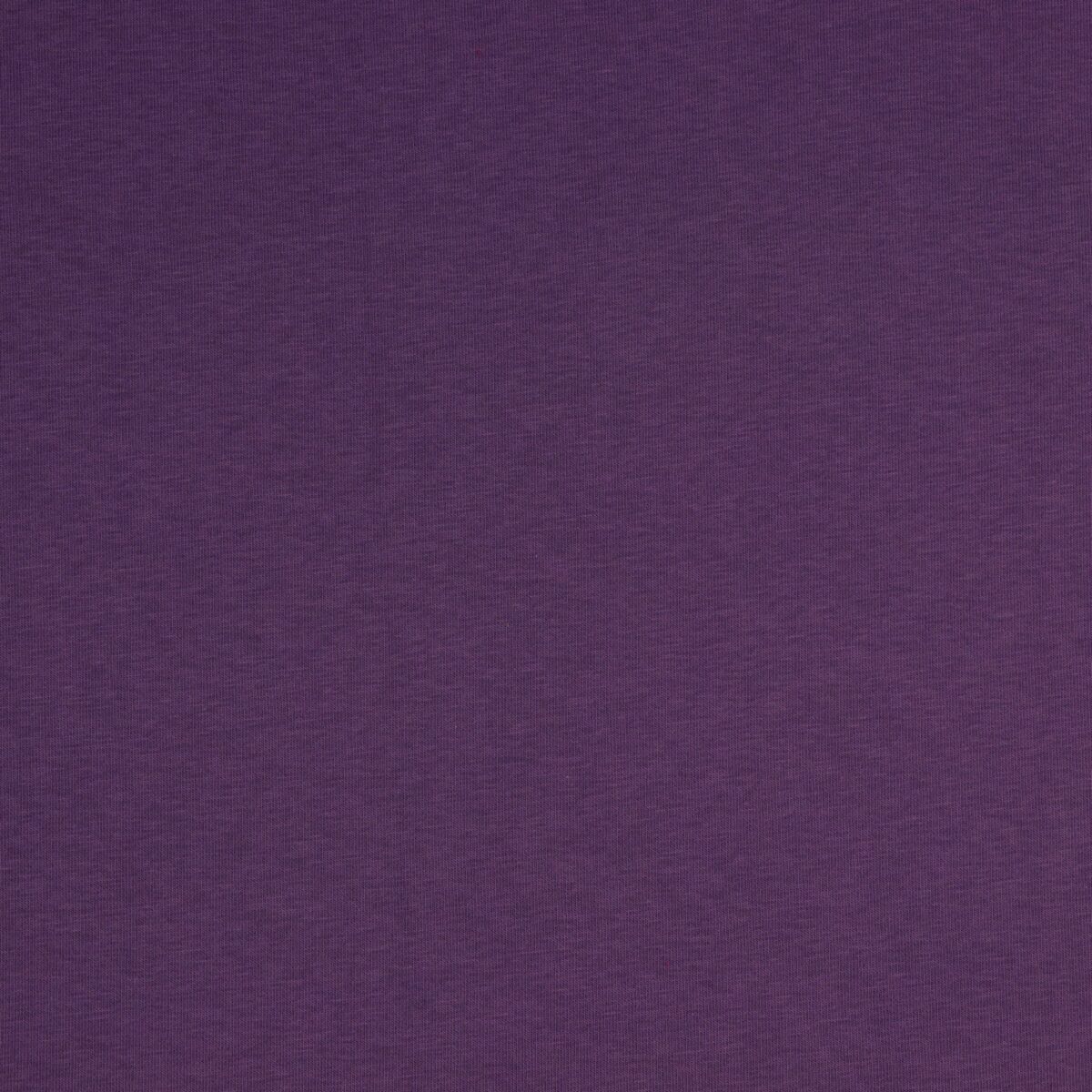 Sweat Brushed: Dicker Sweat Purple