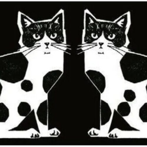 kokka: baumwoll /leinen "nekonoe twocat"