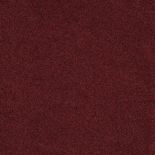 kuscheliger teddy stoff, perfekt für kleidung & diy projekte "double sided" mint (kopie)