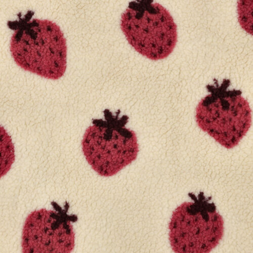 08032.001 teddy strawberries