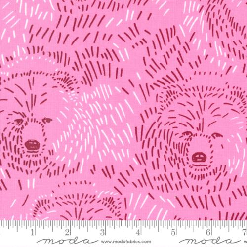 Moda: "Marigold" Bears Dianthus