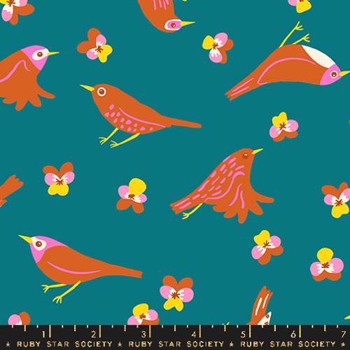 Ruby Star Society: "Bird is the word" Storytime Birds