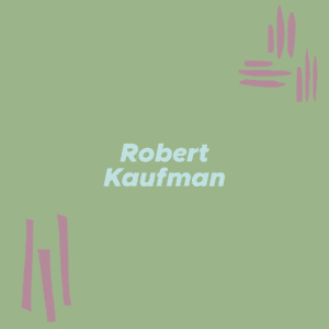 Robert Kaufman