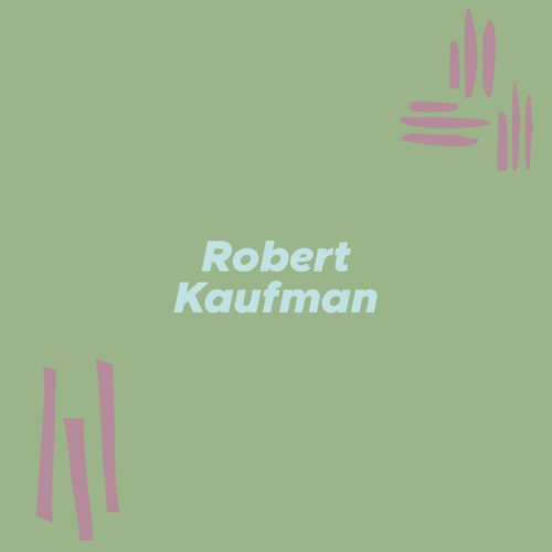 Robert Kaufman