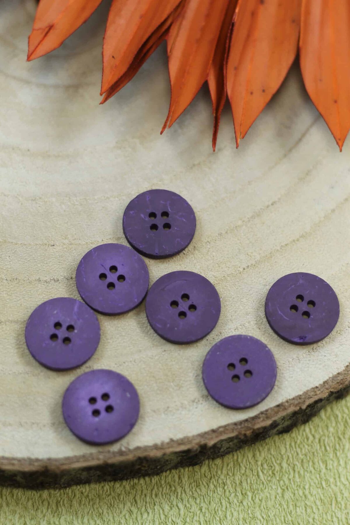 Echter Kokosknopf Purple 20 mm