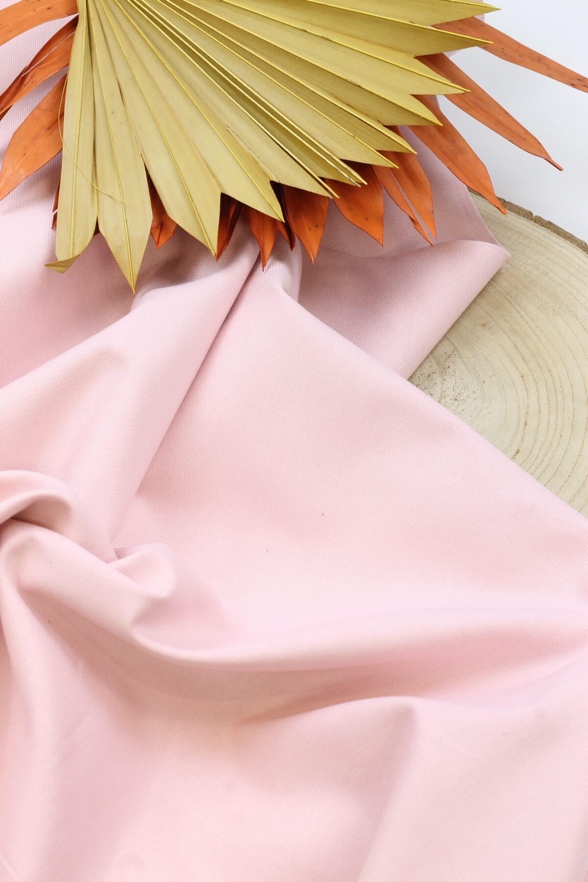 Canvas Uni Rose