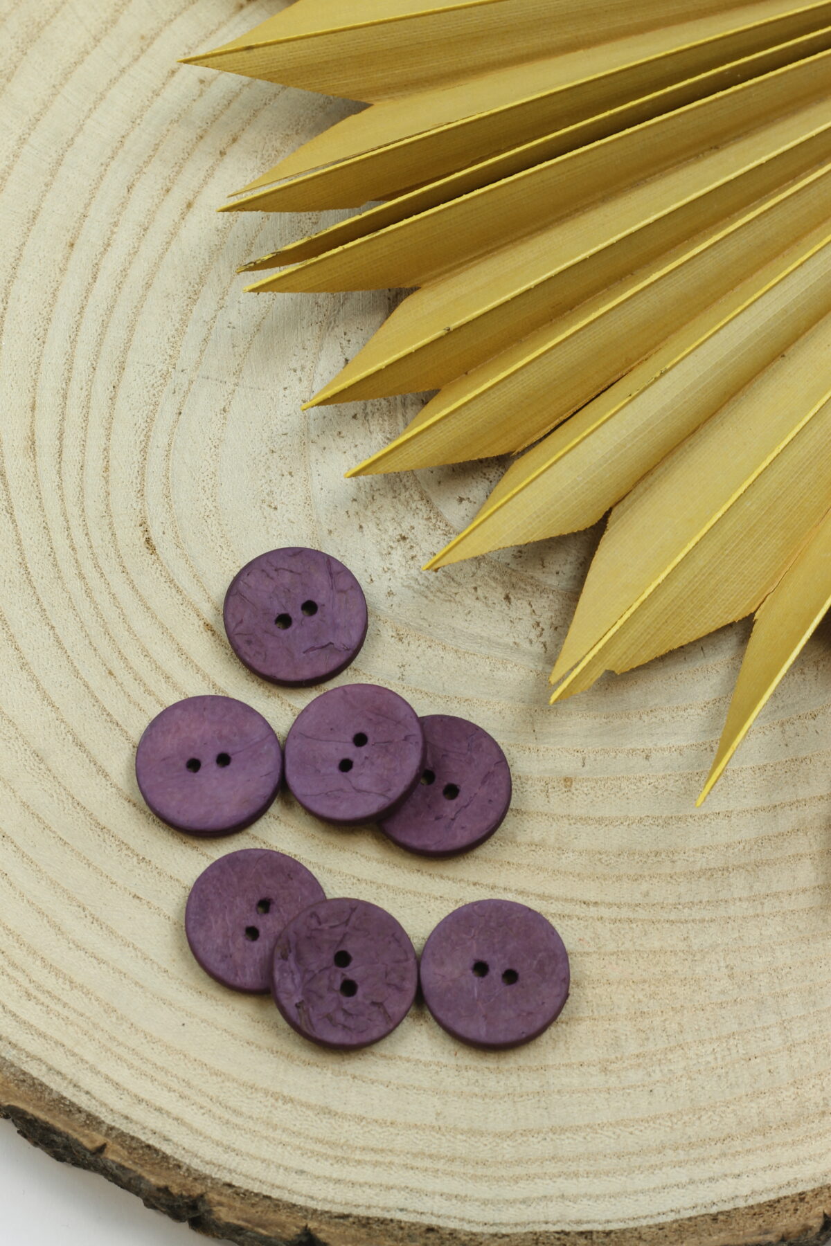 Echter Kokosknopf Aubergine 20 mm