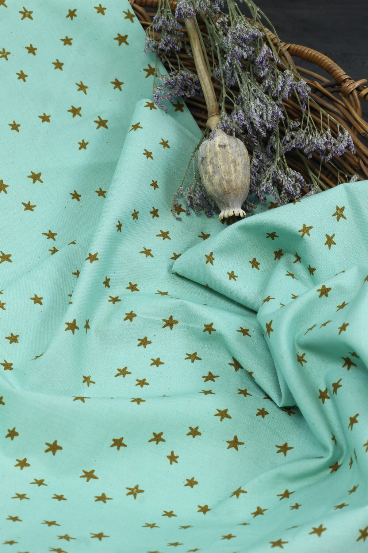 Ruby Star Society: "Starry Frost" by Alexia Abegg