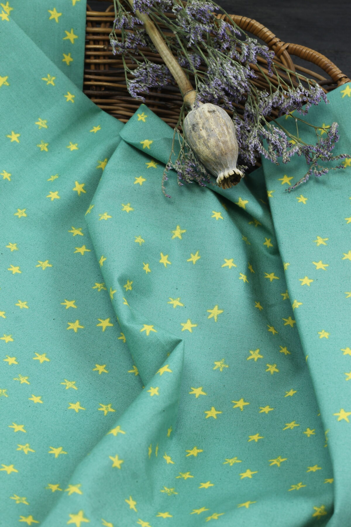 Ruby Star Society: "Starry Soft Aqua" by Alexia Abegg