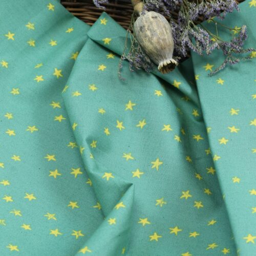 Ruby Star Society: "Starry Soft Aqua" by Alexia Abegg