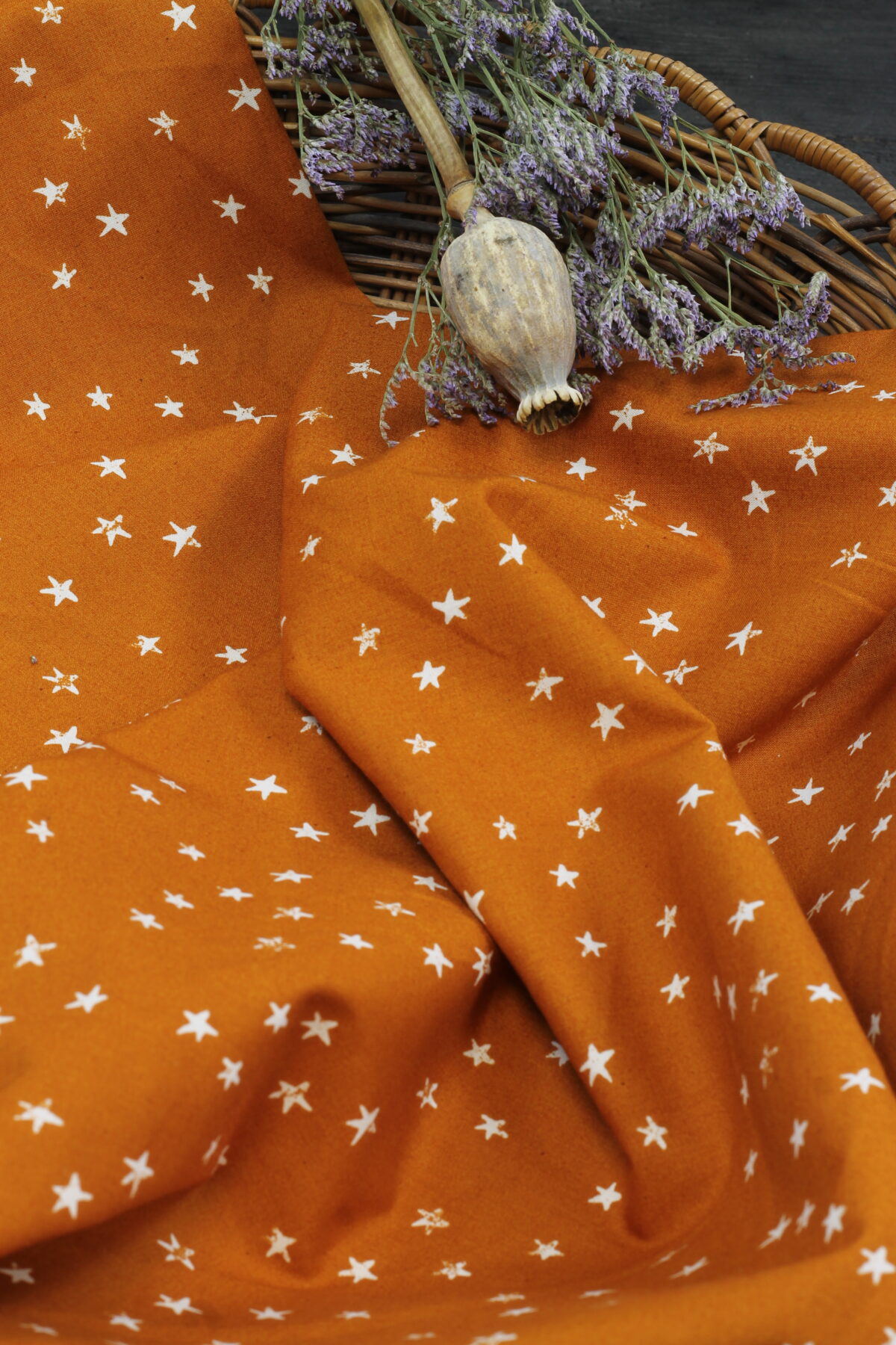 Ruby Star Society: "Starry Saddle" by Alexia Abegg