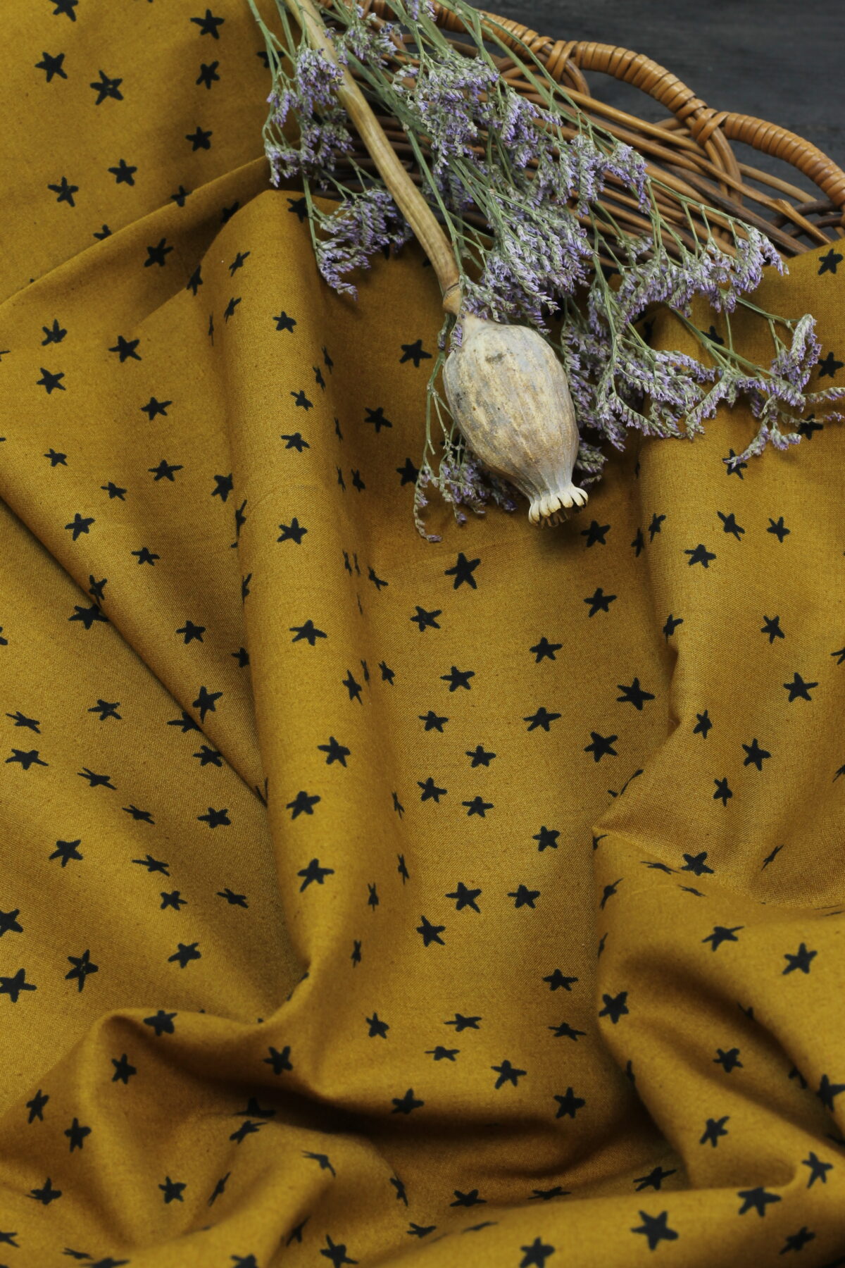 Ruby Star Society: "Starry Suede" by Alexia Abegg