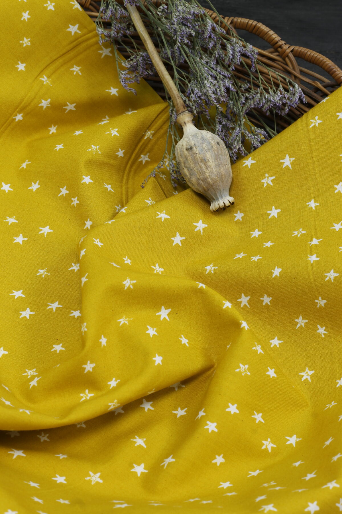 Ruby Star Society: "Starry Goldenrod" by Alexia Abegg