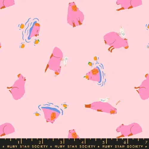 Ruby Star Society: "Animal Animal" Capybara in Cotton Candy